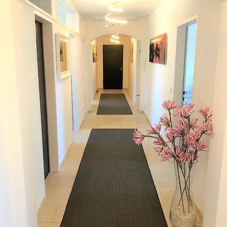 Bodensee * フリードリヒスハーフェン