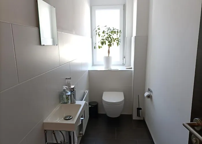 Bodensee Friedrichshafen